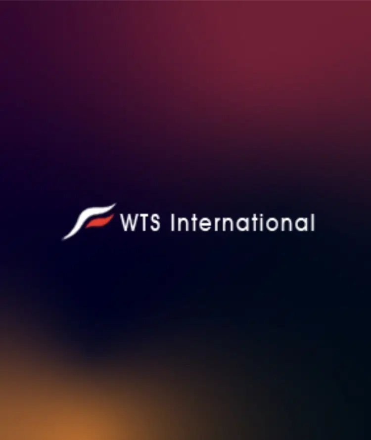 WTS International - Corporate Website - Dazzle Tech